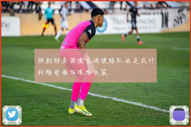 热刺财务困境或迫使球队放走武什科维奇面临艰难决策